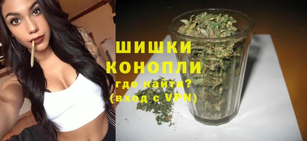 ECSTASY Бородино