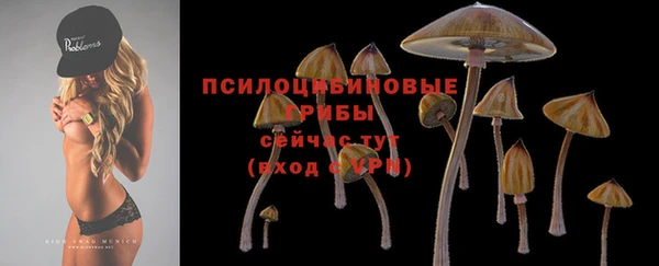 apvp Богородицк
